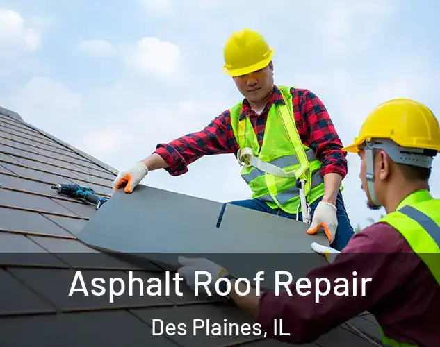  Asphalt Roof Repair Des Plaines, IL