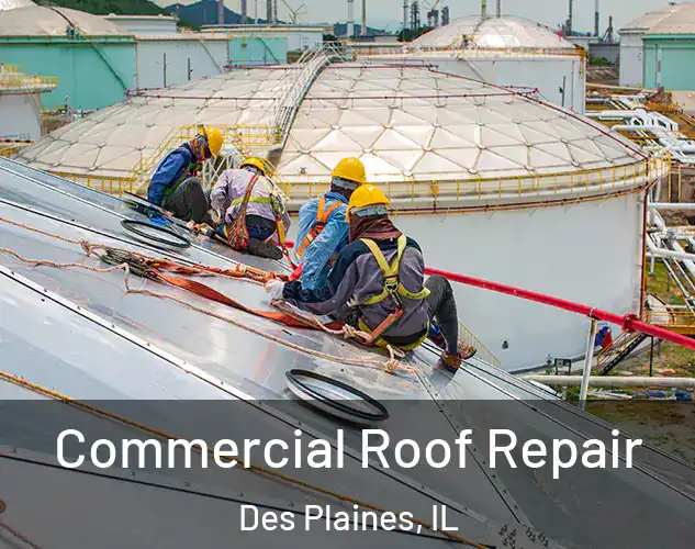  Commercial Roof Repair Des Plaines, IL