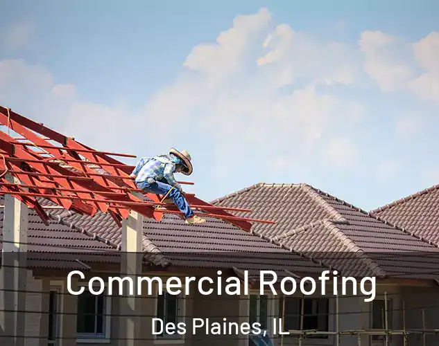 Commercial Roofing Des Plaines, IL