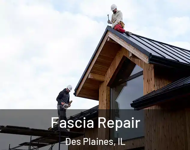  Fascia Repair Des Plaines, IL