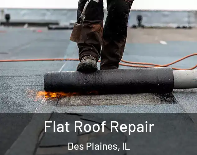  Flat Roof Repair Des Plaines, IL