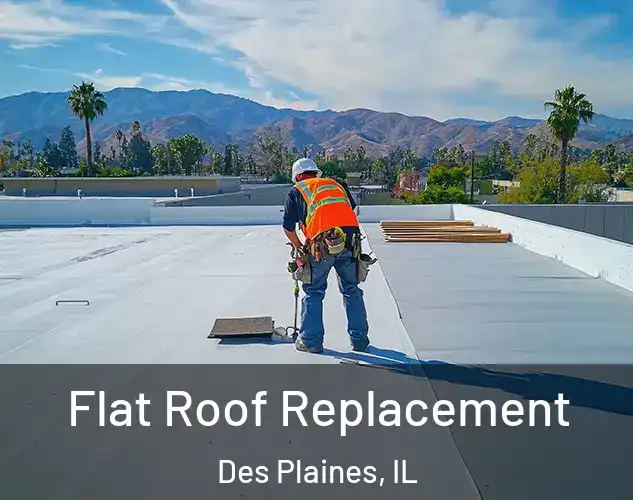  Flat Roof Replacement Des Plaines, IL