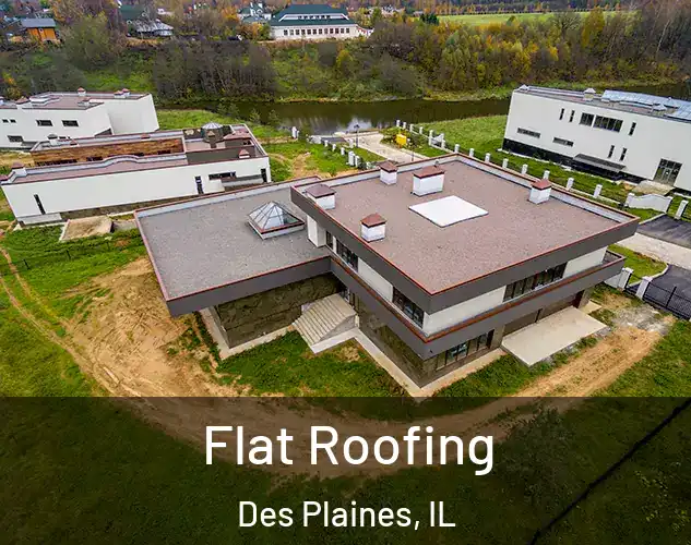  Flat Roofing Des Plaines, IL