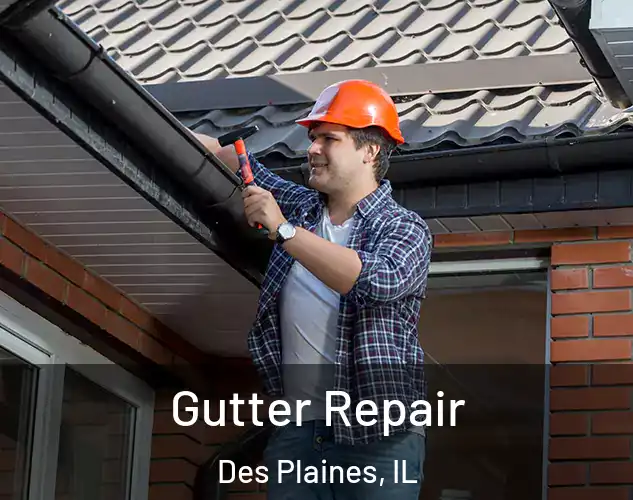 Gutter Repair Des Plaines, IL