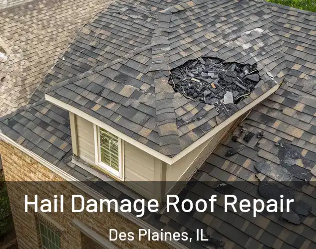  Hail Damage Roof Repair Des Plaines, IL