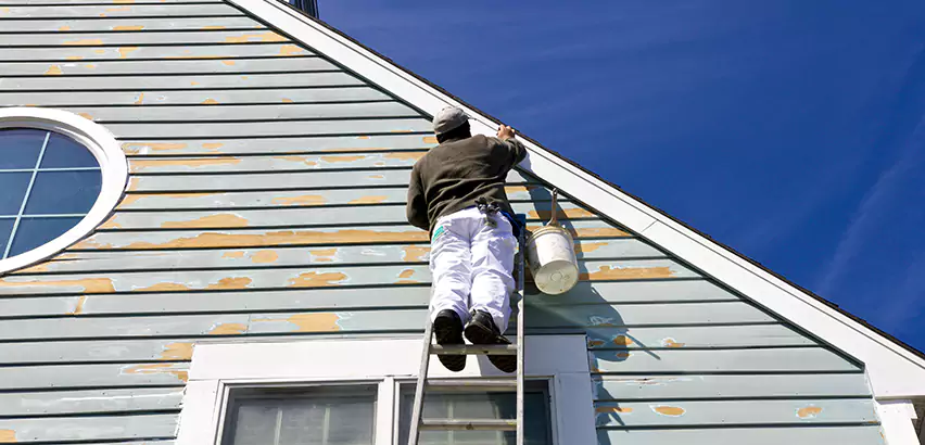 Professional Roof and Siding Repair Services in Des Plaines, IL