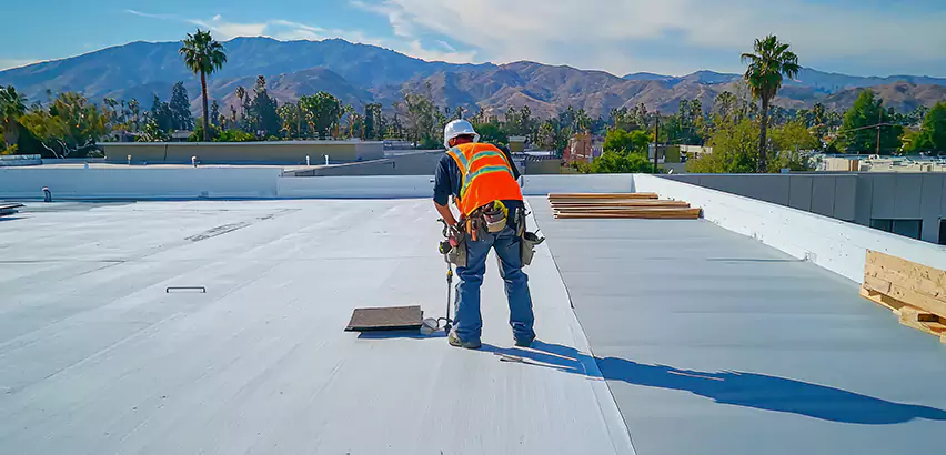 Professional Roof Coating Services in Des Plaines, IL