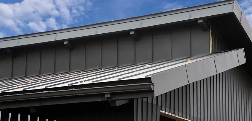 Professional Roof Eaves Installation Services in Des Plaines, IL