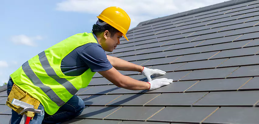 Dimensional Shingle Installation in Des Plaines