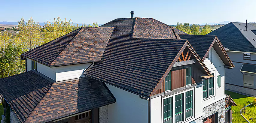 Residential Shingle Roofing in Des Plaines