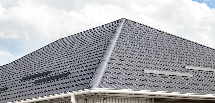 Roof Gully Repair in Des Plaines