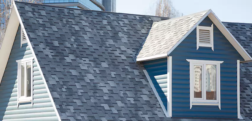 Shingle Roof Maintenance in Des Plaines