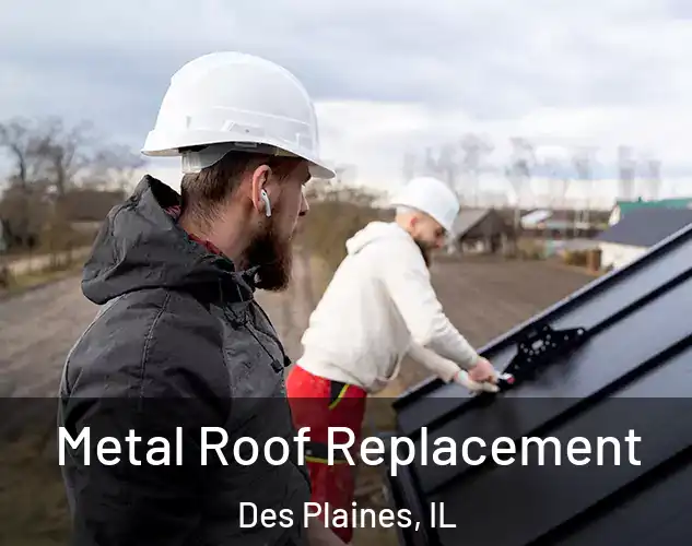  Metal Roof Replacement Des Plaines, IL