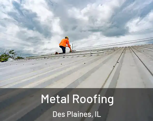  Metal Roofing Des Plaines, IL