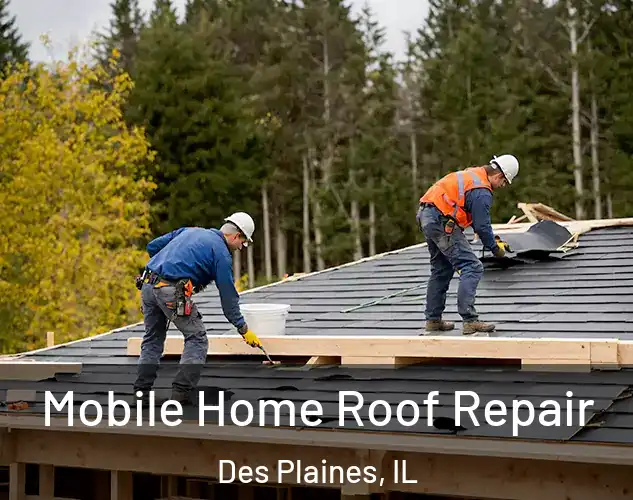  Mobile Home Roof Repair Des Plaines, IL