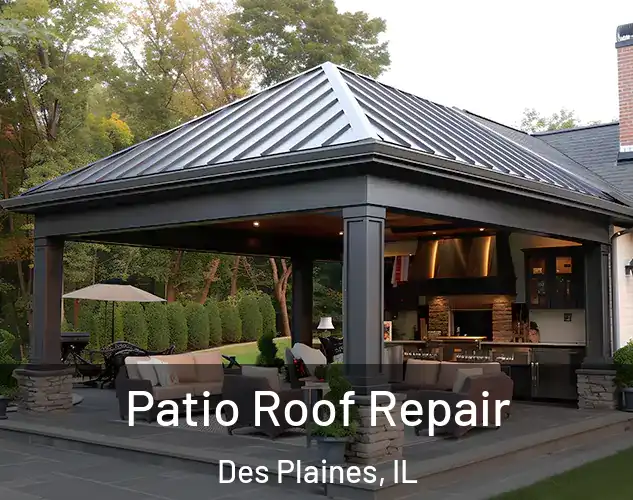  Patio Roof Repair Des Plaines, IL