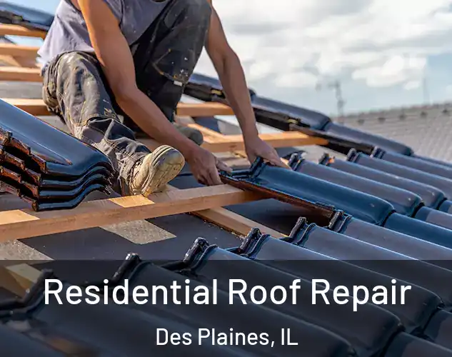  Residential Roof Repair Des Plaines, IL