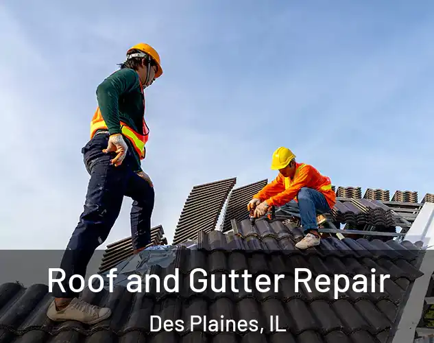  Roof and Gutter Repair Des Plaines, IL