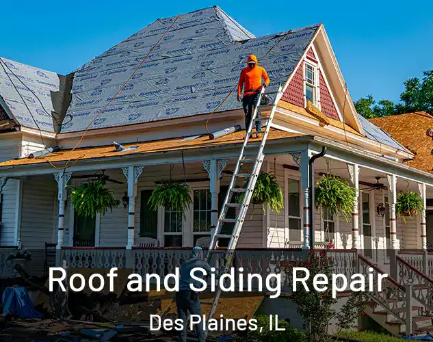  Roof and Siding Repair Des Plaines, IL