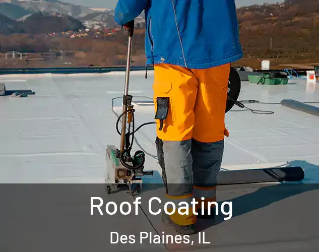  Roof Coating Des Plaines, IL