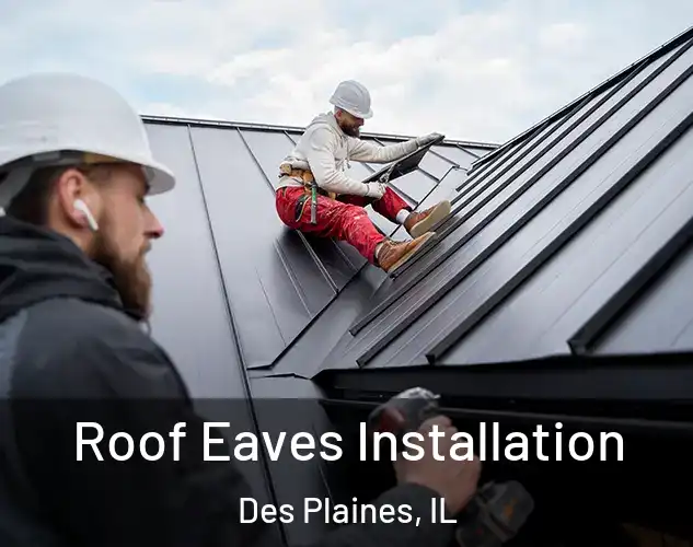  Roof Eaves Installation Des Plaines, IL