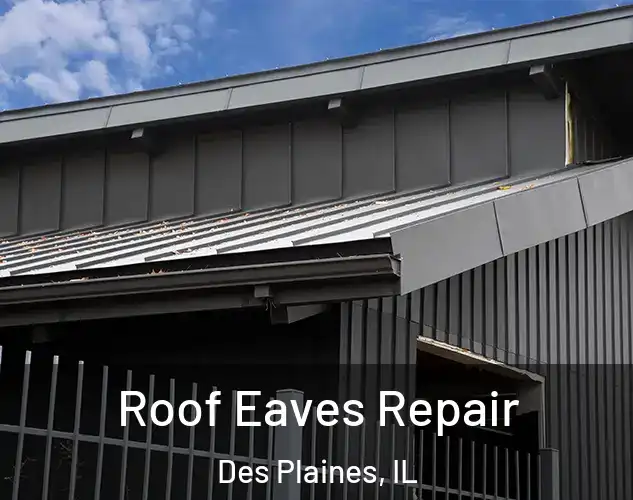  Roof Eaves Repair Des Plaines, IL