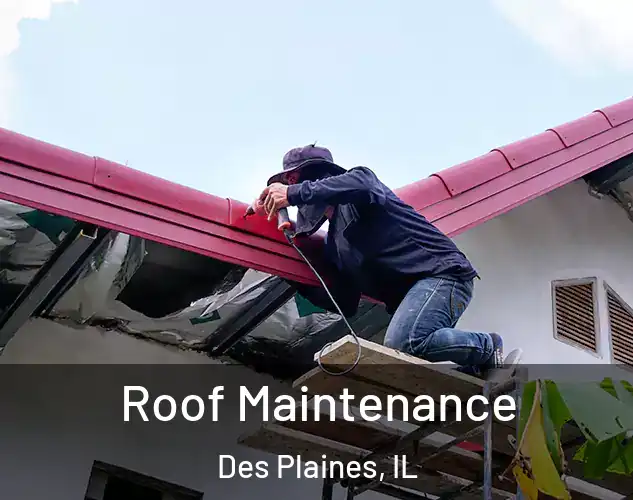  Roof Maintenance Des Plaines, IL
