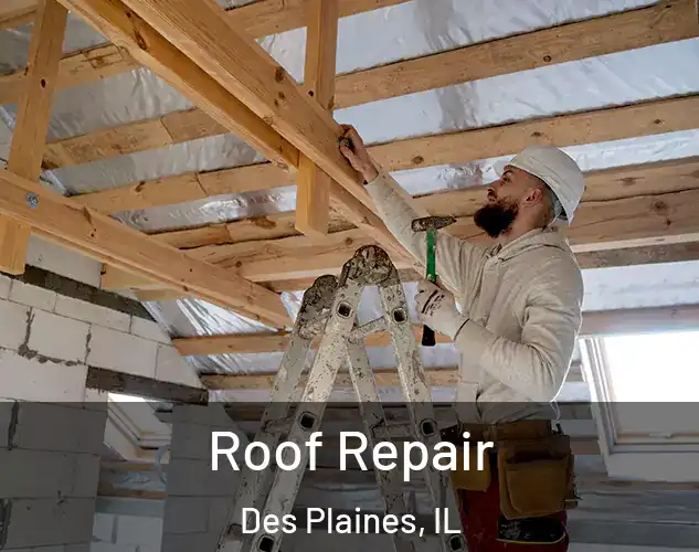  Roof Repair Des Plaines, IL