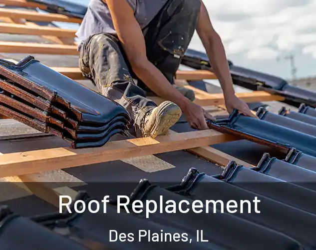  Roof Replacement Des Plaines, IL