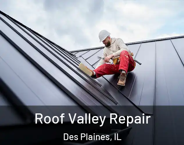  Roof Valley Repair Des Plaines, IL