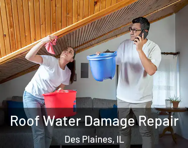  Roof Water Damage Repair Des Plaines, IL