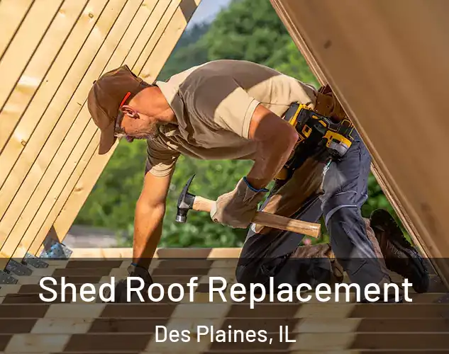  Shed Roof Replacement Des Plaines, IL