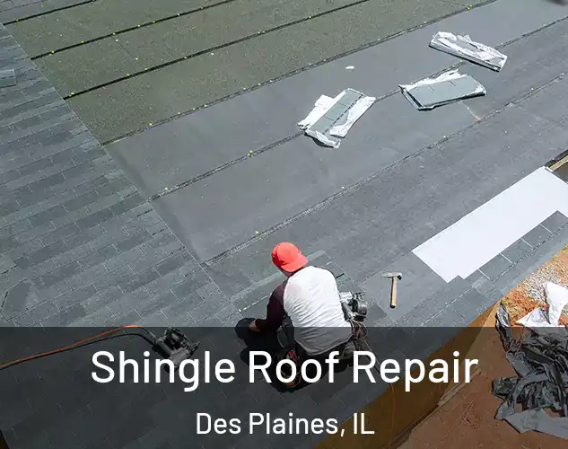 Shingle Roof Repair Des Plaines, IL