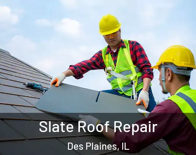  Slate Roof Repair Des Plaines, IL