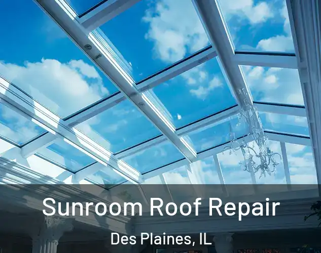  Sunroom Roof Repair Des Plaines, IL
