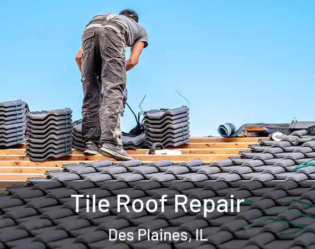  Tile Roof Repair Des Plaines, IL