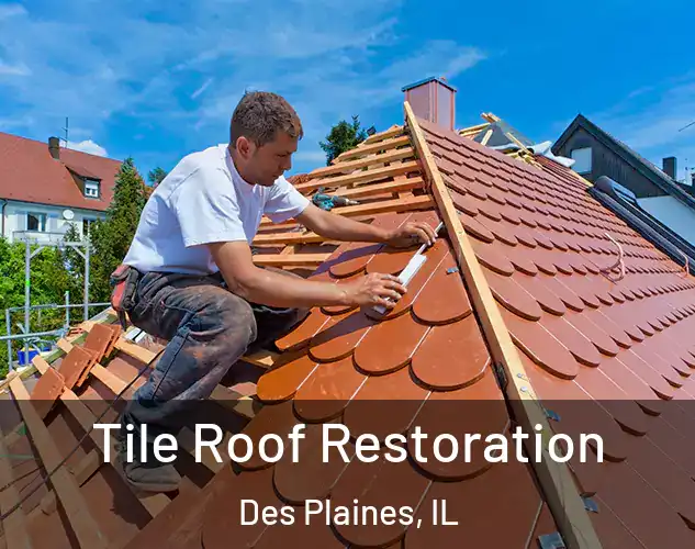  Tile Roof Restoration Des Plaines, IL