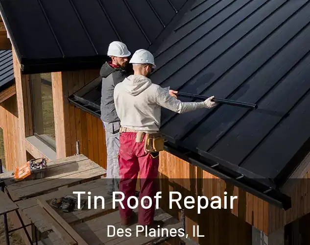  Tin Roof Repair Des Plaines, IL