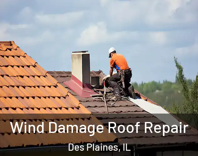  Wind Damage Roof Repair Des Plaines, IL